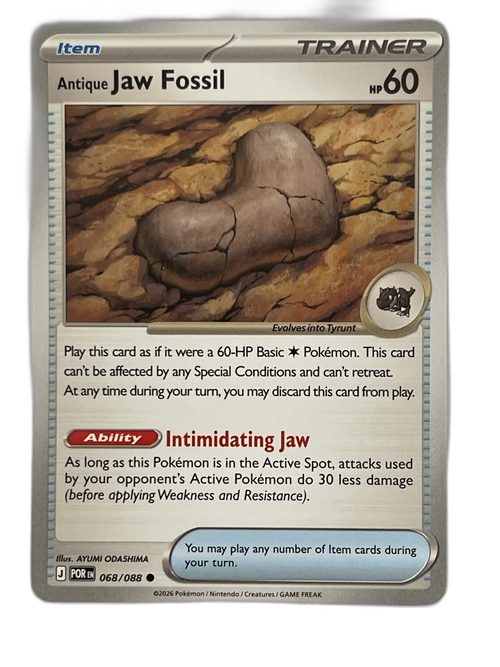 Antique Jaw Fossil - POR 068/088